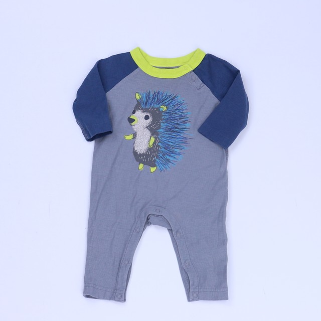 Tea Collection Gray | Teal Long Sleeve Outfit 0-3 Months 