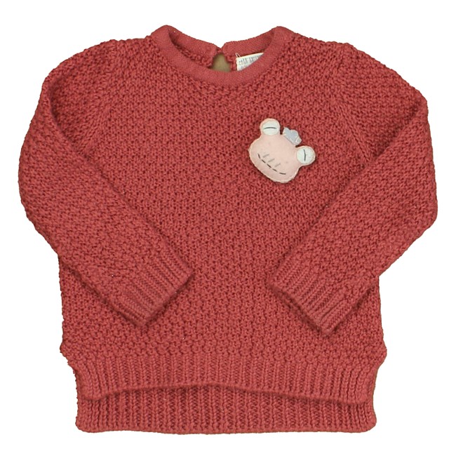 Zara Rust | Pink Frog Sweater 6-9 Months 