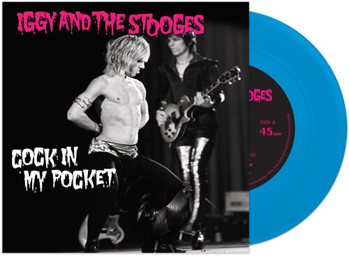 The Stooges: Forebearers of Punk