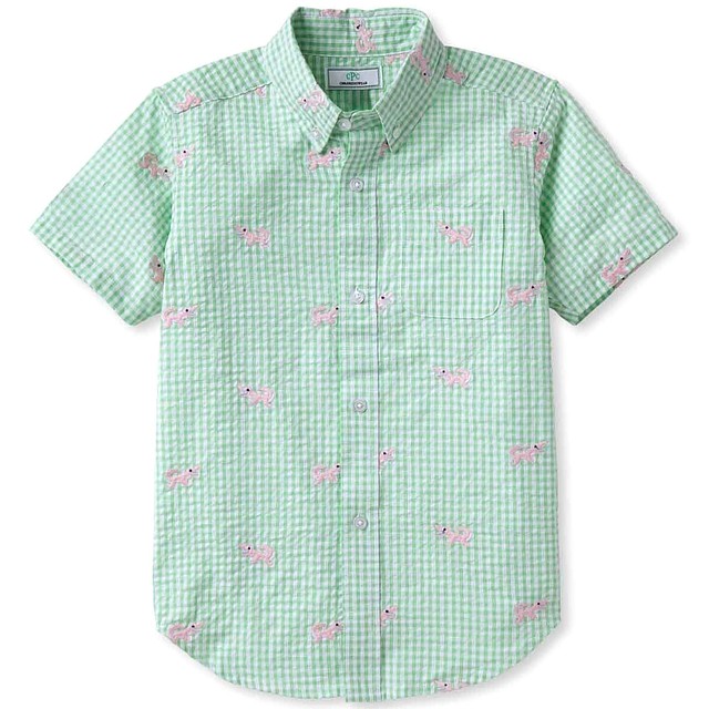 Classic Prep Apple Green Gingham Button Down Short Sleeve 6-14 Years 