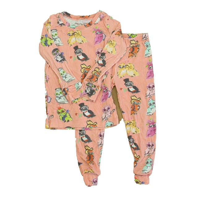 Gracyn Sky 2-pieces Pink Owls 2-piece Pajamas 2T 