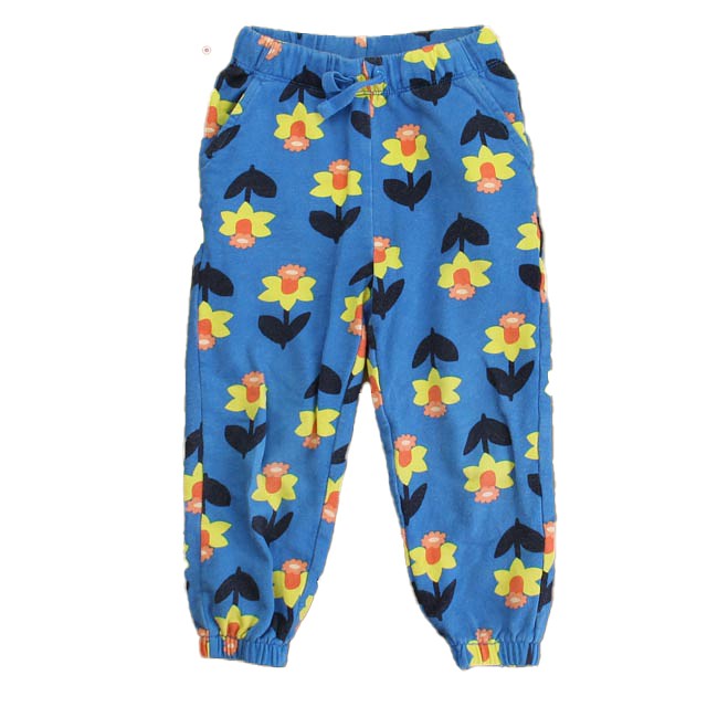 Hanna Andersson Blue Floral Casual Pants 4T 