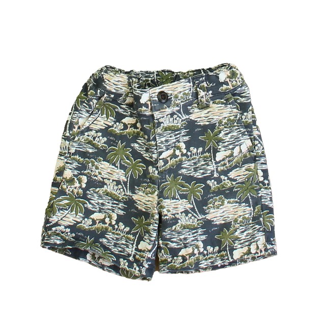 Janie and Jack Blue | Green Palm Treess Shorts 3T 