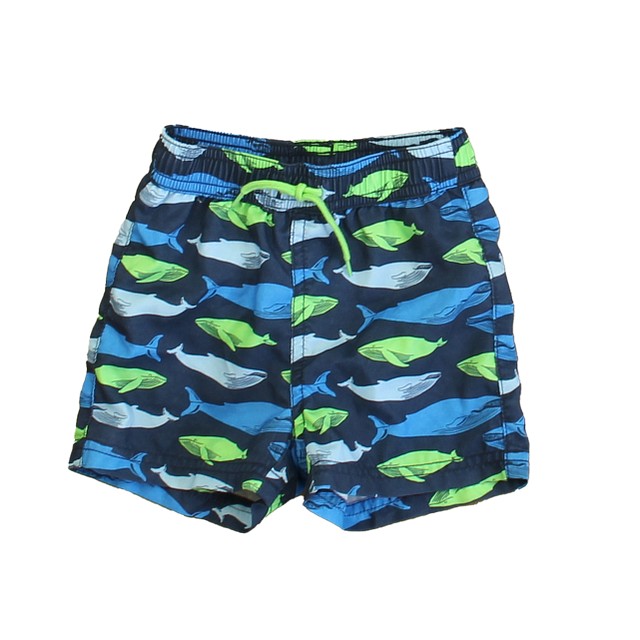 Janie and Jack Blue | Green Sharks Trunks 6-12 Months 