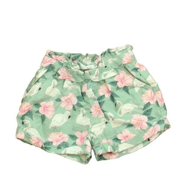 Janie and Jack Green | White Swans Shorts 6-12 Months 