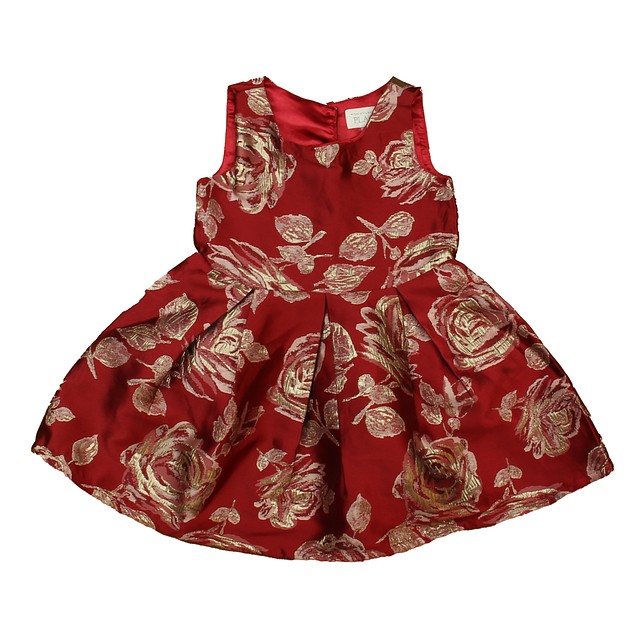 The Children's Place Red Floral Special Occasion Dress 4T 